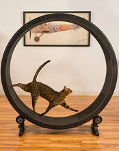 Load image into Gallery viewer, Pet cat climbing frame, cat toy, cat sports toy, cat climbing wheel, cat treadmill, cat running wheel
